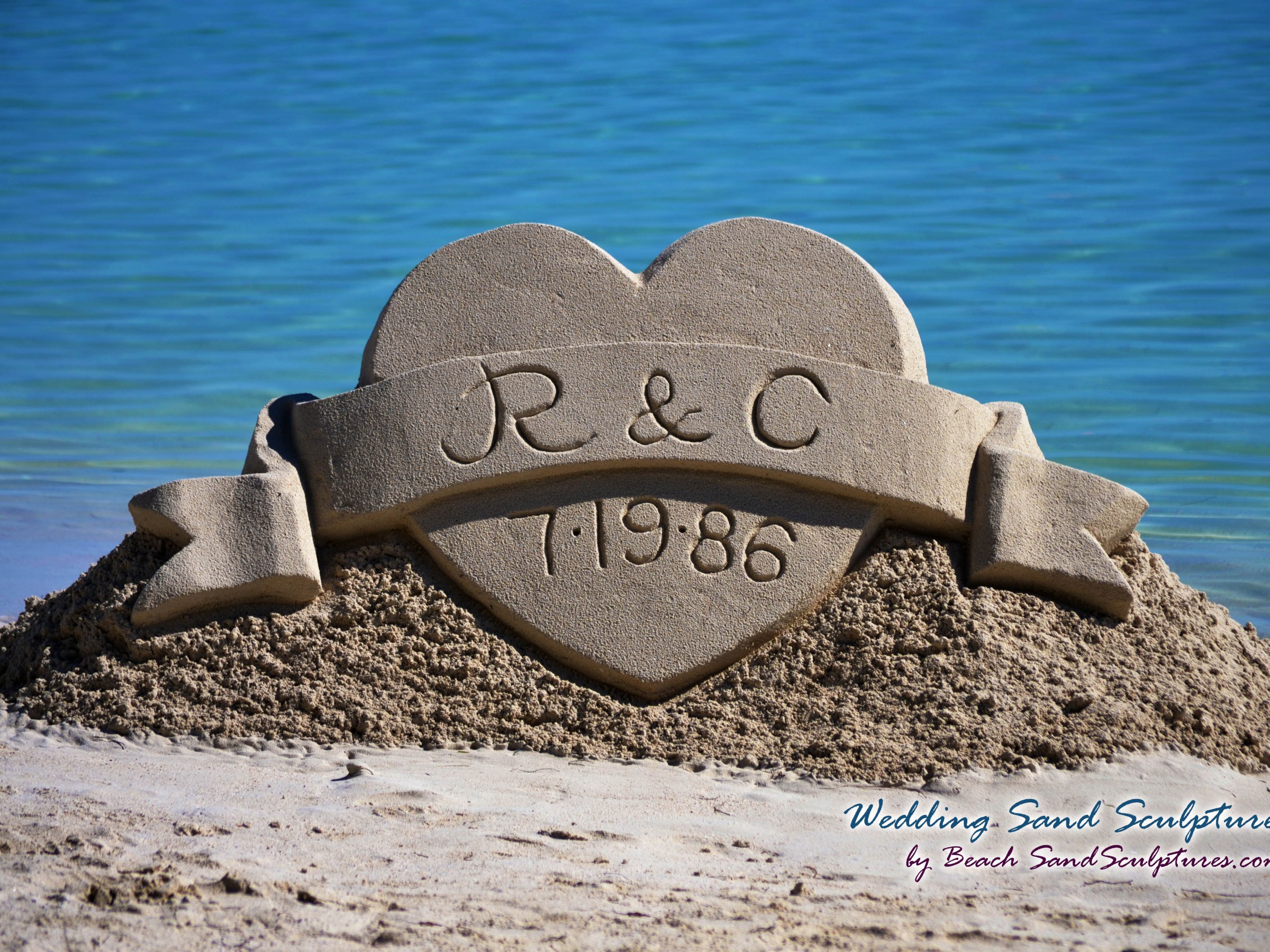 a bird sitting on a rock near the ocean